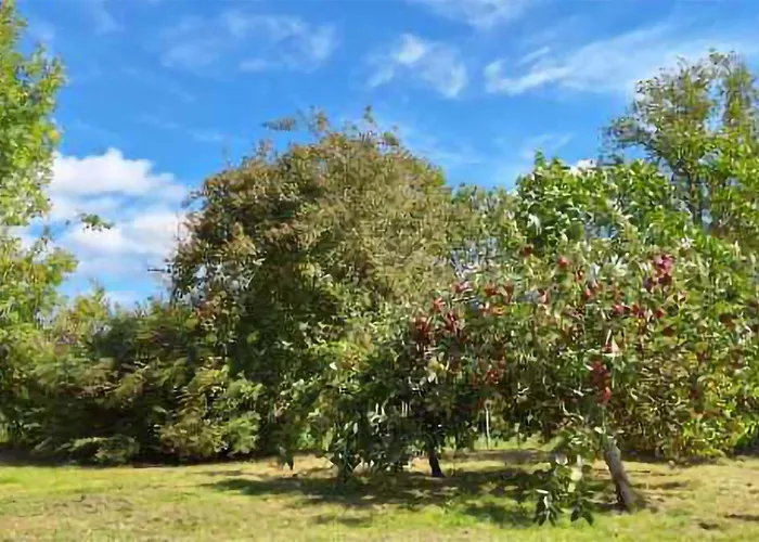 Beautiful In 度假居 *